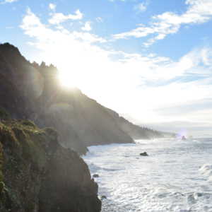 A sunny and windy cliff facing the Pacific
